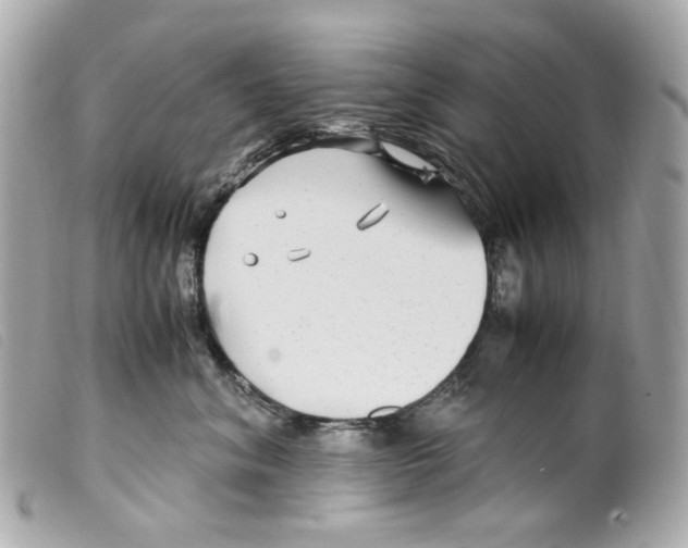X0000099310620200805301155