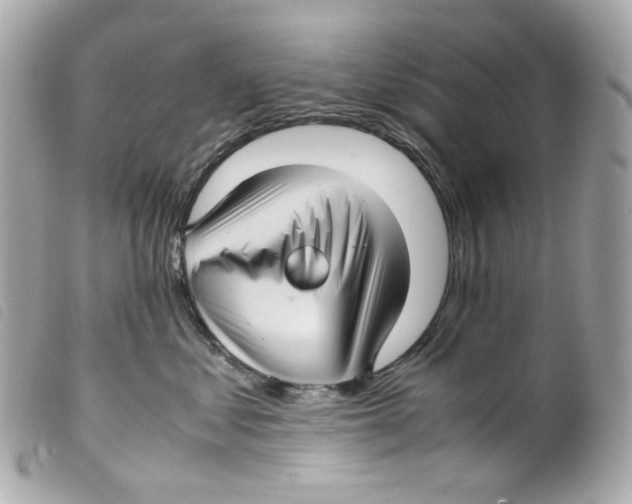 X0000099310621200805301155