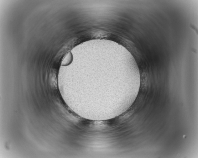 X0000099310622200805301155