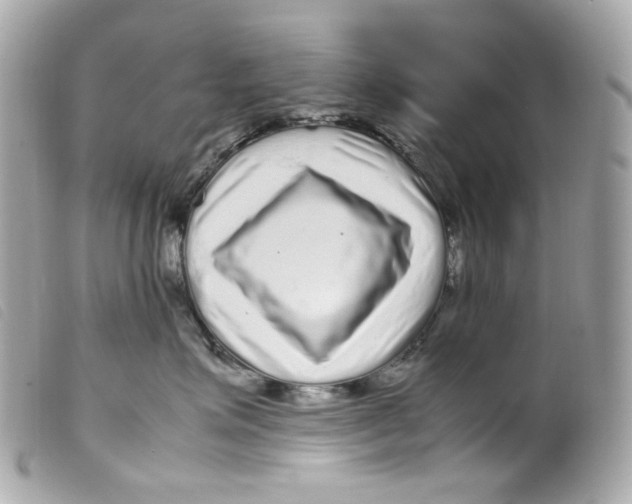 X0000099310623200805301155