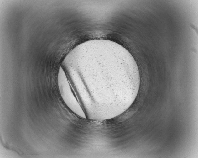 X0000099310624200805301155