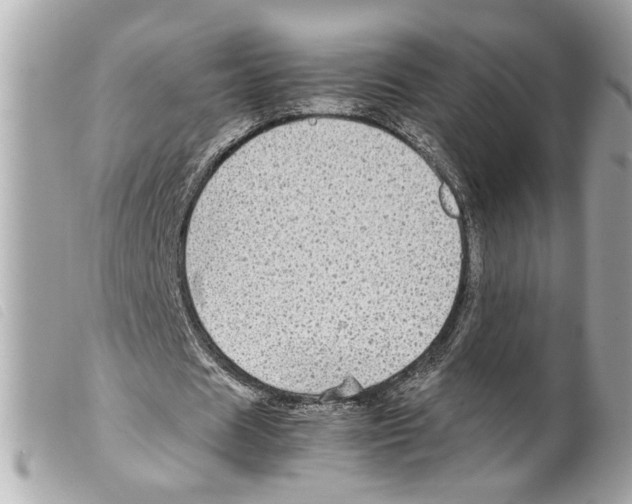 X0000099310625200805301155