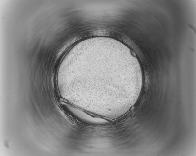 X0000099310626200805301155