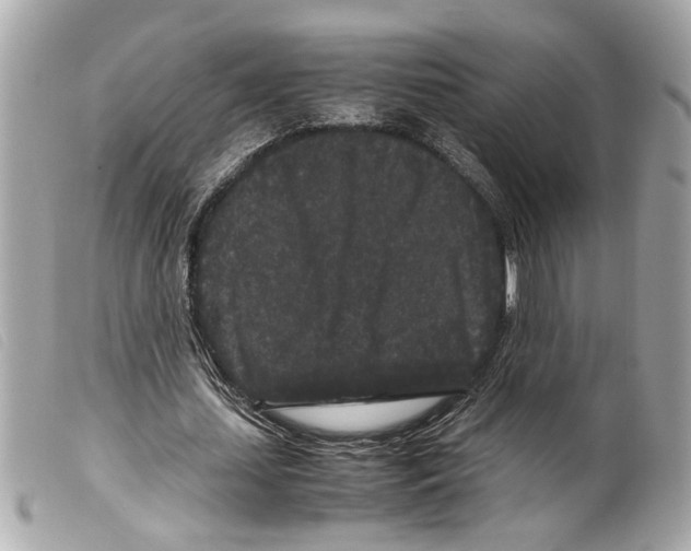 X0000099310627200805301155