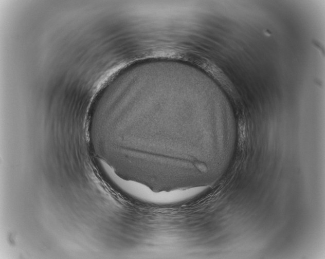 X0000099310628200805301155
