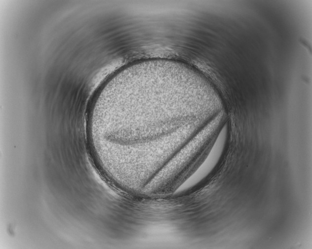 X0000099310630200805301155