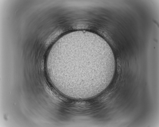 X0000099310631200805301155
