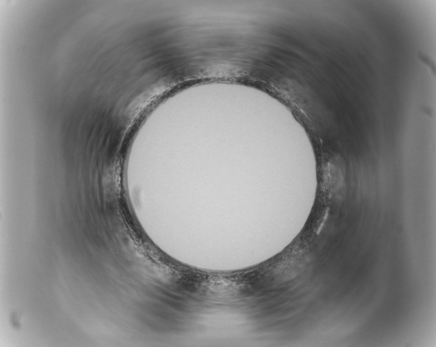 X0000099310632200805301155