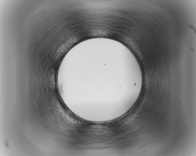 X0000099310633200805301155