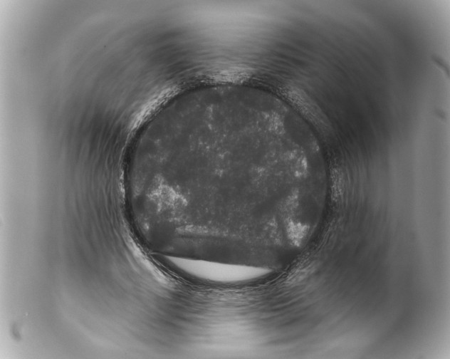 X0000099310634200805301155