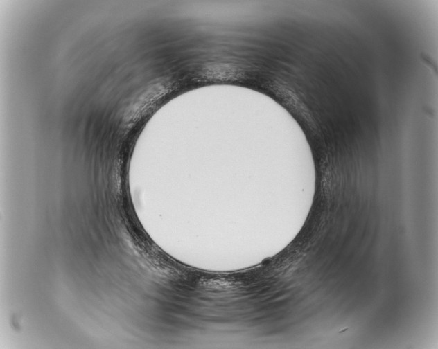 X0000099310635200805301155