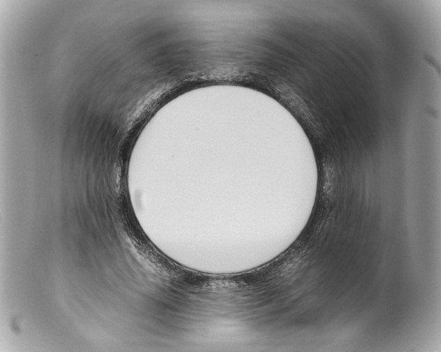 X0000099310636200805301155