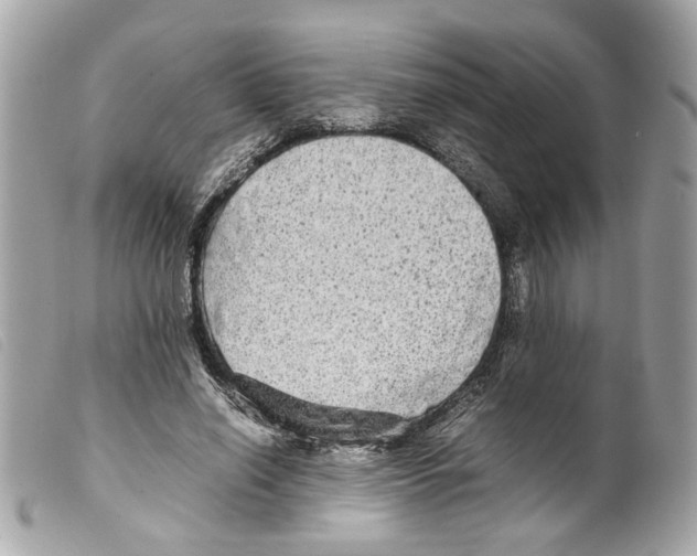 X0000099310638200805301155