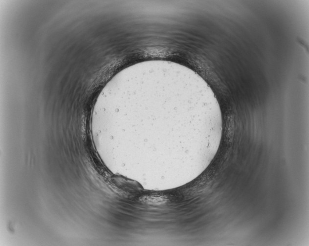 X0000099310639200805301155