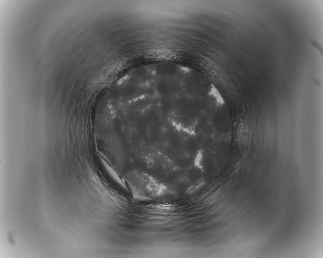 X0000099310643200805301155