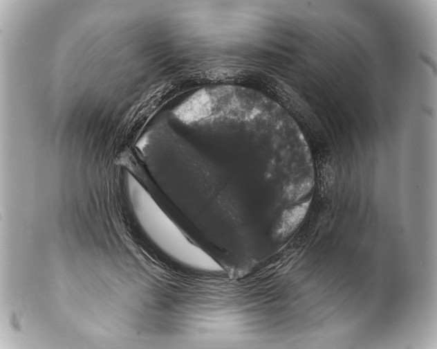 X0000099310644200805301155