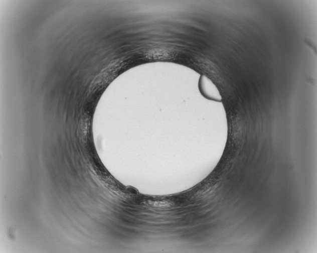 X0000099310645200805301155