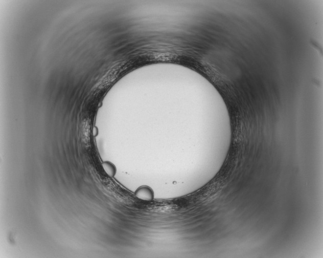 X0000099310646200805301155