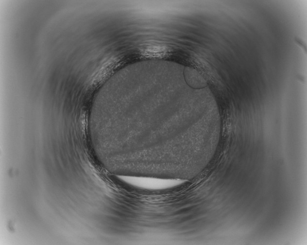 X0000099310647200805301155
