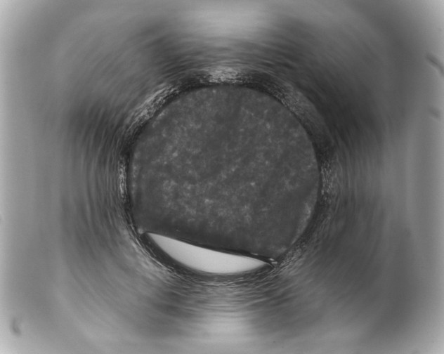 X0000099310648200805301155
