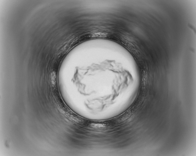 X0000099310649200805301155