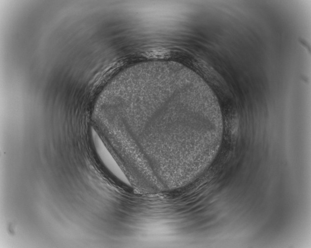 X0000099310652200805301155