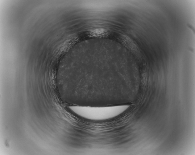 X0000099310653200805301155