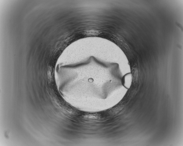 X0000099310655200805301155