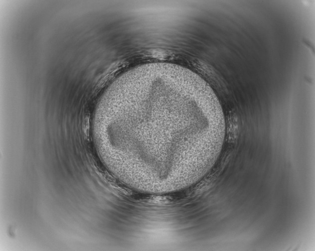 X0000099310656200805301155