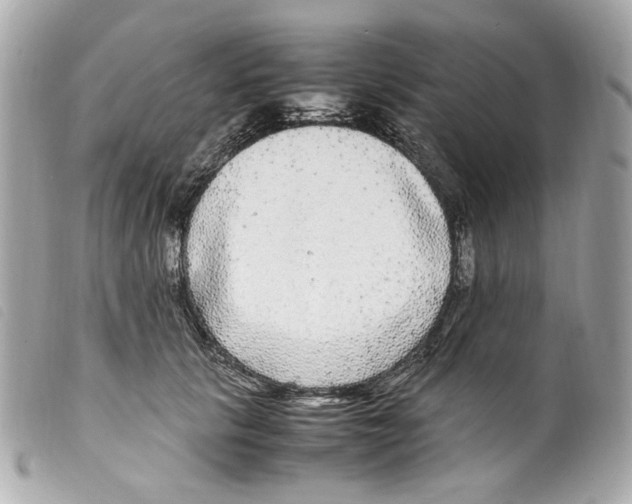 X0000099310657200805301155