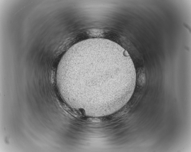 X0000099310658200805301155