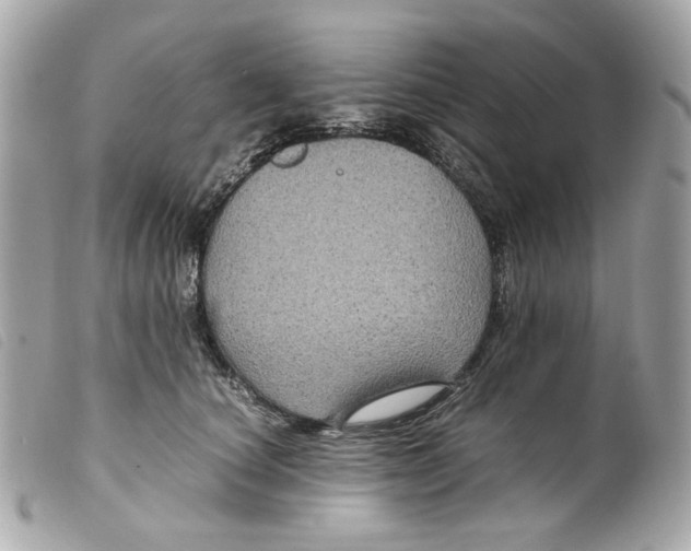 X0000099310660200805301155