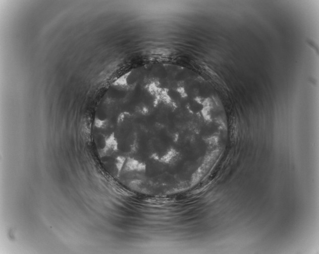 X0000099310661200805301155