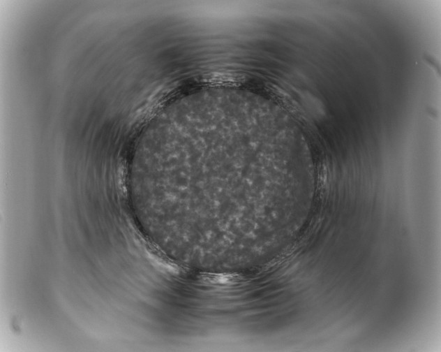 X0000099310663200805301155