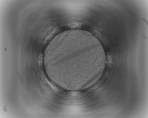 X0000099310664200805301155