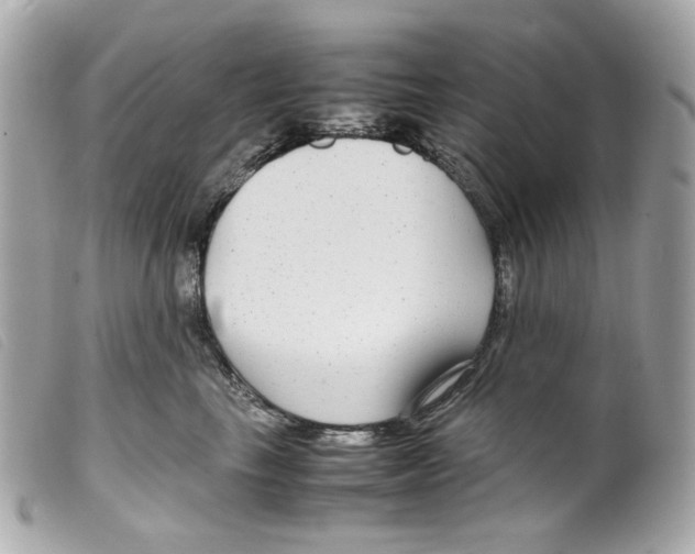 X0000099310665200805301155