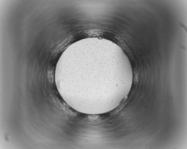 X0000099310666200805301155