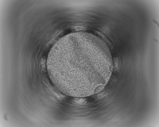 X0000099310667200805301155