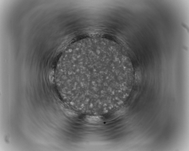 X0000099310671200805301155