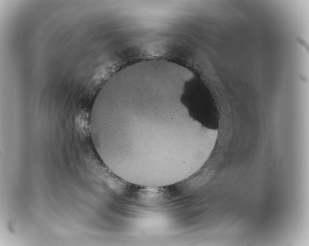X0000099310672200805301155