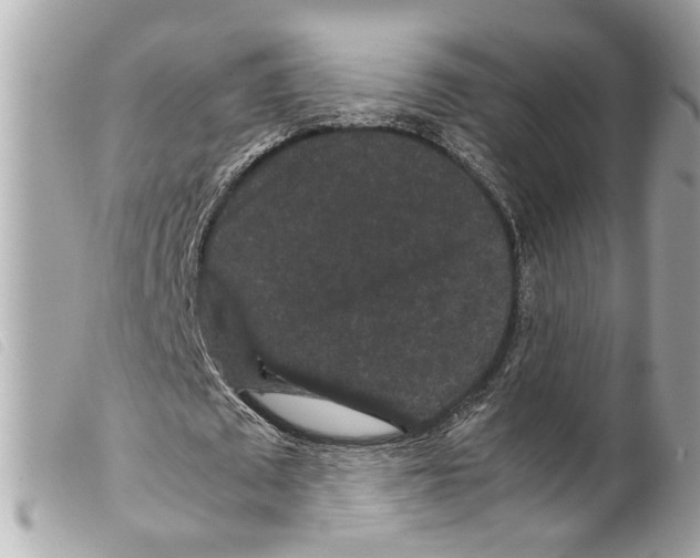 X0000099310673200805301155