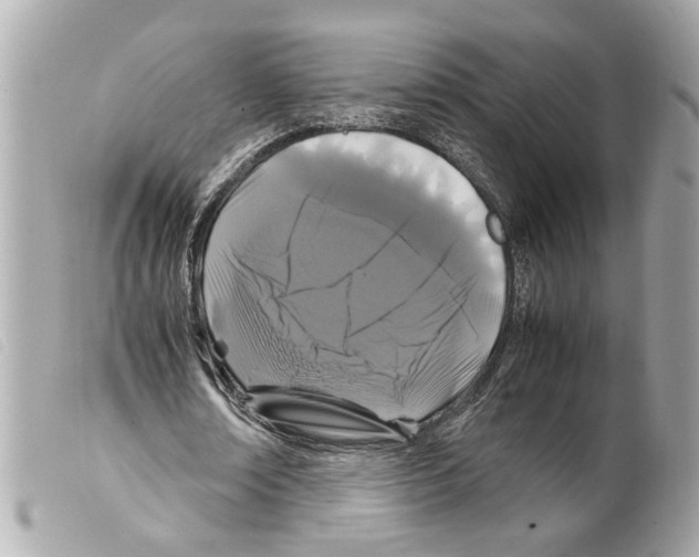 X0000099310674200805301155