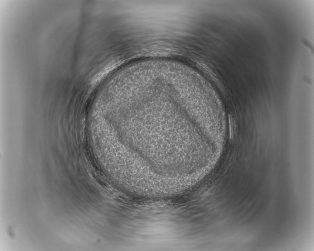 X0000099310675200805301155