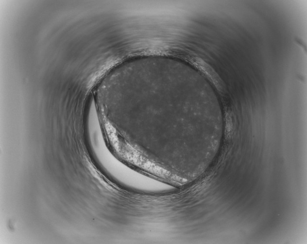 X0000099310677200805301155