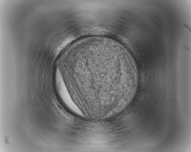 X0000099310679200805301154