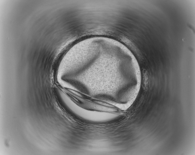 X0000099310680200805301154