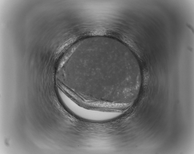X0000099310681200805301154
