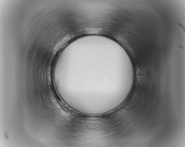 X0000099310682200805301154
