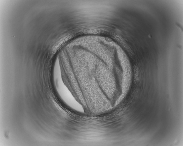 X0000099310683200805301154