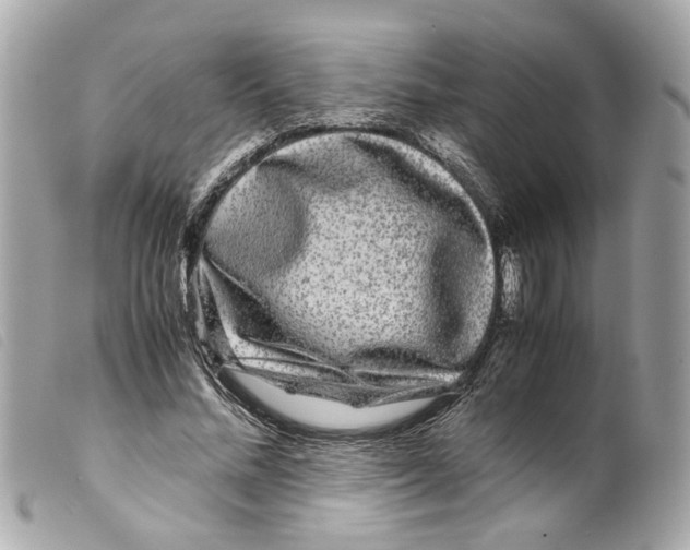 X0000099310684200805301154